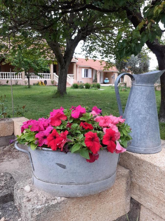 B&B Gite D'Ayran Saint-Quentin-la-Poterie Buitenkant foto